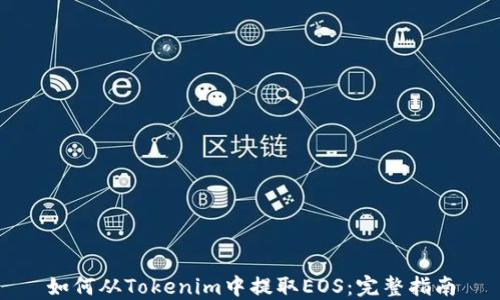 
如何从Tokenim中提取EOS：完整指南